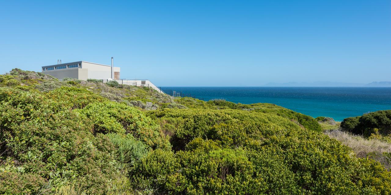 Romans Villa Gansbaai Zewnętrze zdjęcie